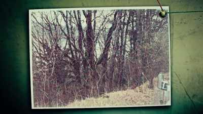 GEOFFREY WANSELL:
One of the things - World's Most Evil Killers