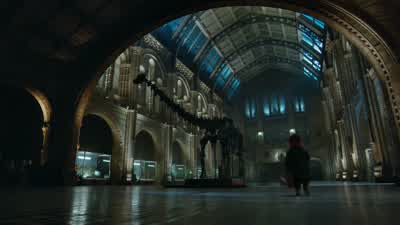 Woman Welcome to your new home bearThis is a cathedral of knowledgeEvery major explorer has added to its gloryCharles Darwin brought the giant tortoise from the GalapagosPaddington Good evening Captain Scott the emperor penguin from AntarcticaGentlemen - Paddington