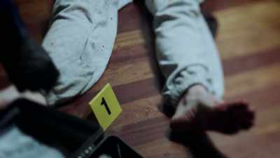 George: WE DID A VERY, VERY
THOROUGH INVESTIGATION - An American Murder Mystery: The Staircase