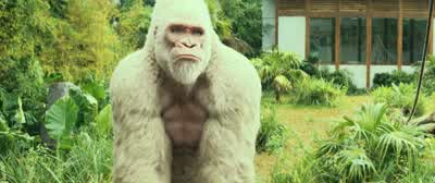 George, you and I cool? - Rampage