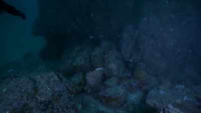 Georgeos thinks he's
identified the missing
link, a recently excavated - Atlantis Rising