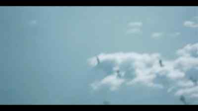 German guns
fill the sky with flak, - World War II: From the Frontlines