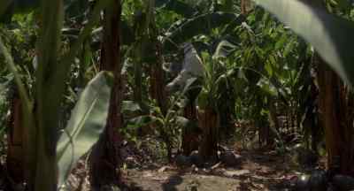 Get a move on.
First squad, sector A. - Contamination