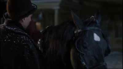 Get a move on! - Black Beauty