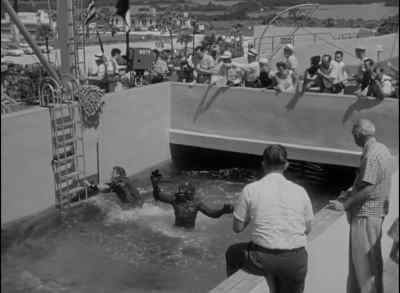 Get a shot of this!
Get that camera here, quick! - Revenge of the Creature