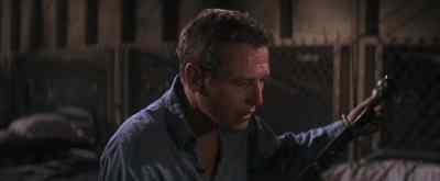 Get yourself a sweet Madonna - Cool Hand Luke