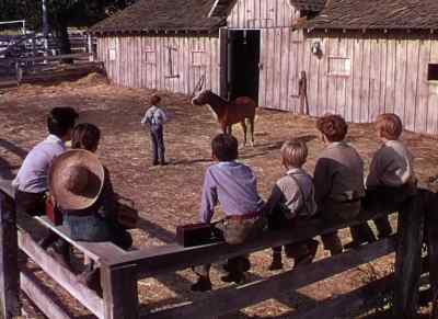 Get a whip
and he'll follow. - The Red Pony