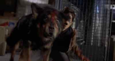 Get away from him! - Man's Best Friend