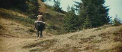 Get away. - The Bear