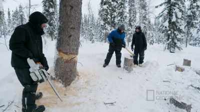 Get that axe and hack this,
with the backside. - Life Below Zero: First Alaskans