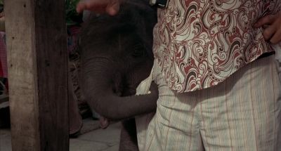 Get your cotton picking schnoz out of my pants - The Man with the Golden Gun