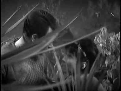 Get down behind that bush. - Doctor Who