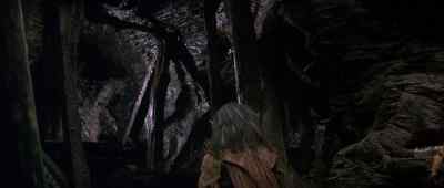 Get down, Fizzgig. Quiet. - The Dark Crystal