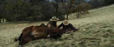 Get down here, boy.
Lay across his neck. - The Outlaw Josey Wales