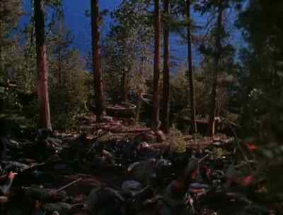 Get down, men. - Northwest Passage