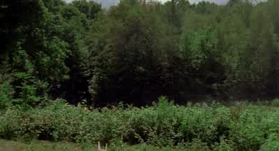 Get down! - Wrong Turn