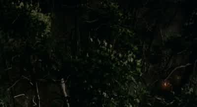 Get down. - Wrong Turn