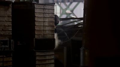- Get down! - Chicago P.D.