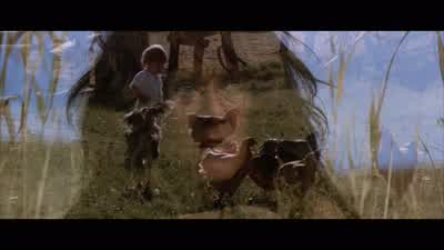 Get 'em, Joe! - Dances with Wolves