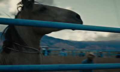 Get him fed, get him watered - The Mustang