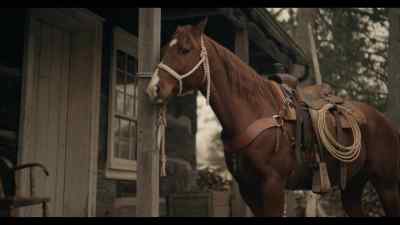 Get your hands off me! - Wyatt Earp and the Cowboy War