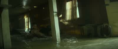 Get her. - Annihilation