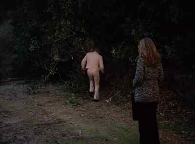 Get him! - The Six Million Dollar Man