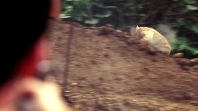 Get him! - Lost