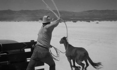 Get that horse cowboy - The Misfits