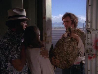 Get in here. - Hawaii Five-0