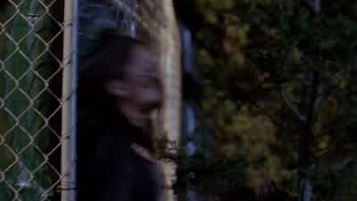 Get in! - Buffy the Vampire Slayer