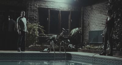 You killed him - Blood in the Water