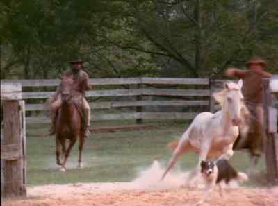 Get him in there! Come on!
Get him in there! - The Autobiography of Miss Jane Pittman