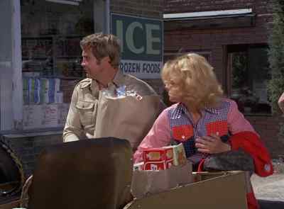 Get this mess cleaned up. - The Six Million Dollar Man