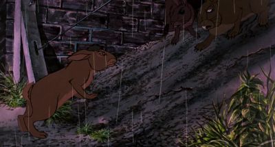 Get this miserable group back to their marks - Watership Down