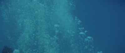 Get more divers over, fast. - The Neptune Factor