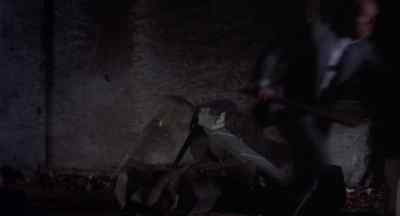 Get that mother!
Kick his ass! - Badge 373