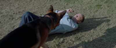 - Get it off me!
- He really likes you. - My Neighbor Adolf