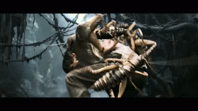 Get it off! - King Kong