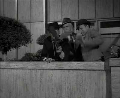 Get off, you stupid bat! - The Munsters
