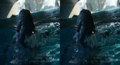 Get on! - Avatar: The Way of Water