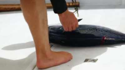 Get this order fulfilled,
and hopefully get back - Deadliest Catch: Bloodline