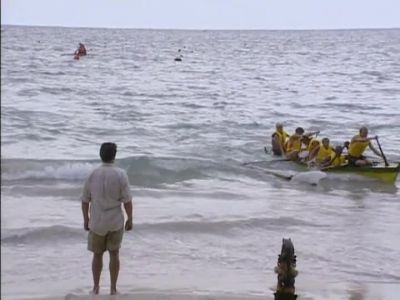            Get out! Get out!    - Survivor