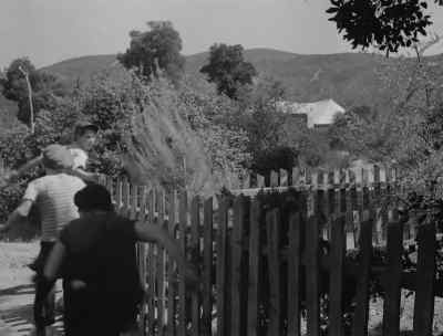 Get out of here, you little rotten. - The Ape