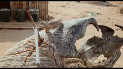 Get out of your pants - Tremors