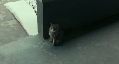 Get outta here while you can.
I'm not your friend. - A Man Called Otto