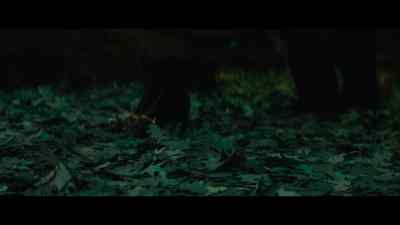 Get ready for fireworks!
Get ready for spectacle! Get ready for... - Agatha All Along