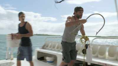 Get ready, you guys.
Here we go. - 5 Headed Shark Attack