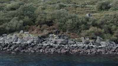 Get somewhere where you can see, - Celebrity SAS: Who Dares Wins