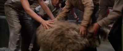Get his tail! - Annie
